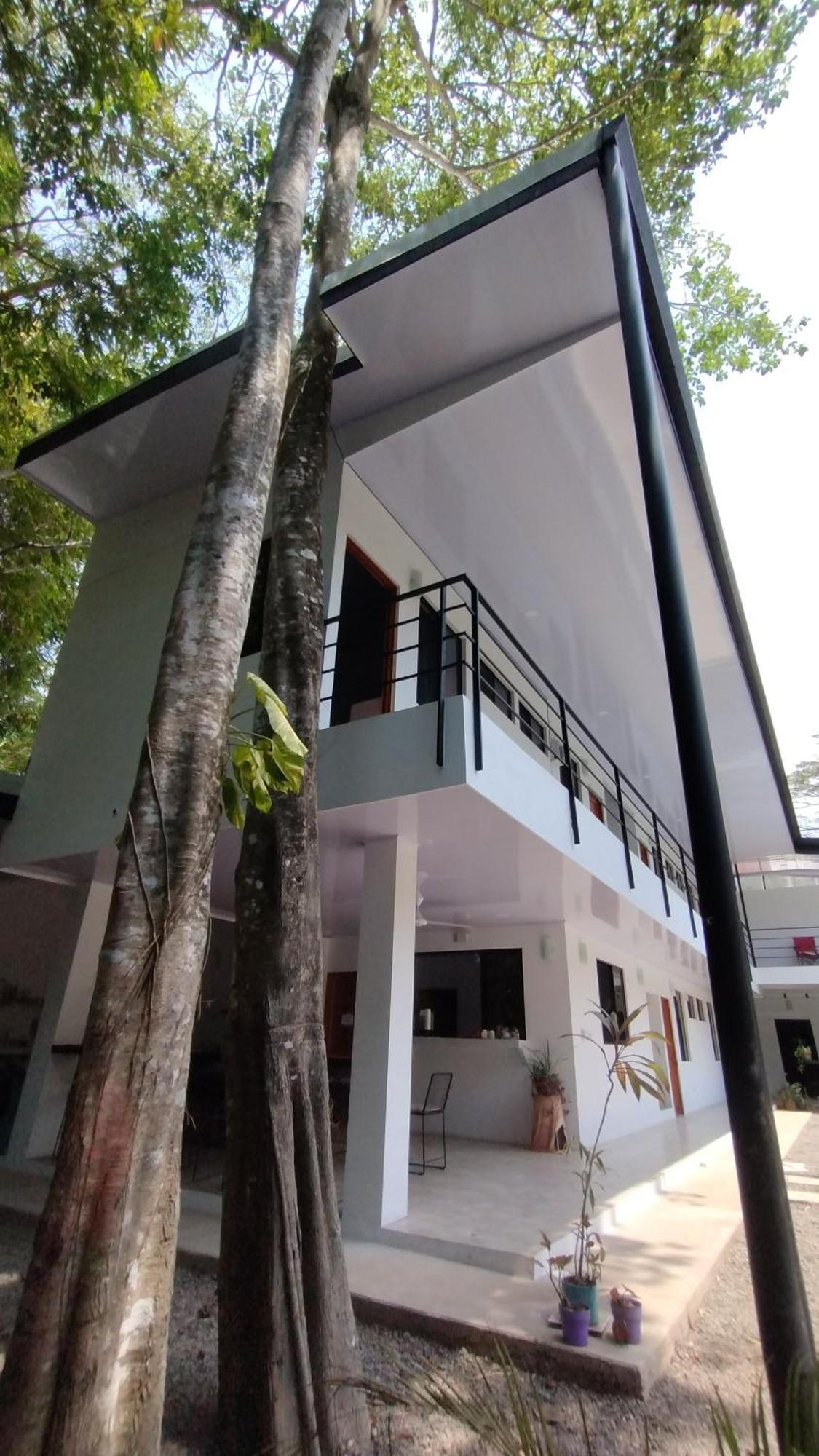 Casajungla Hostel 哈科 外观 照片