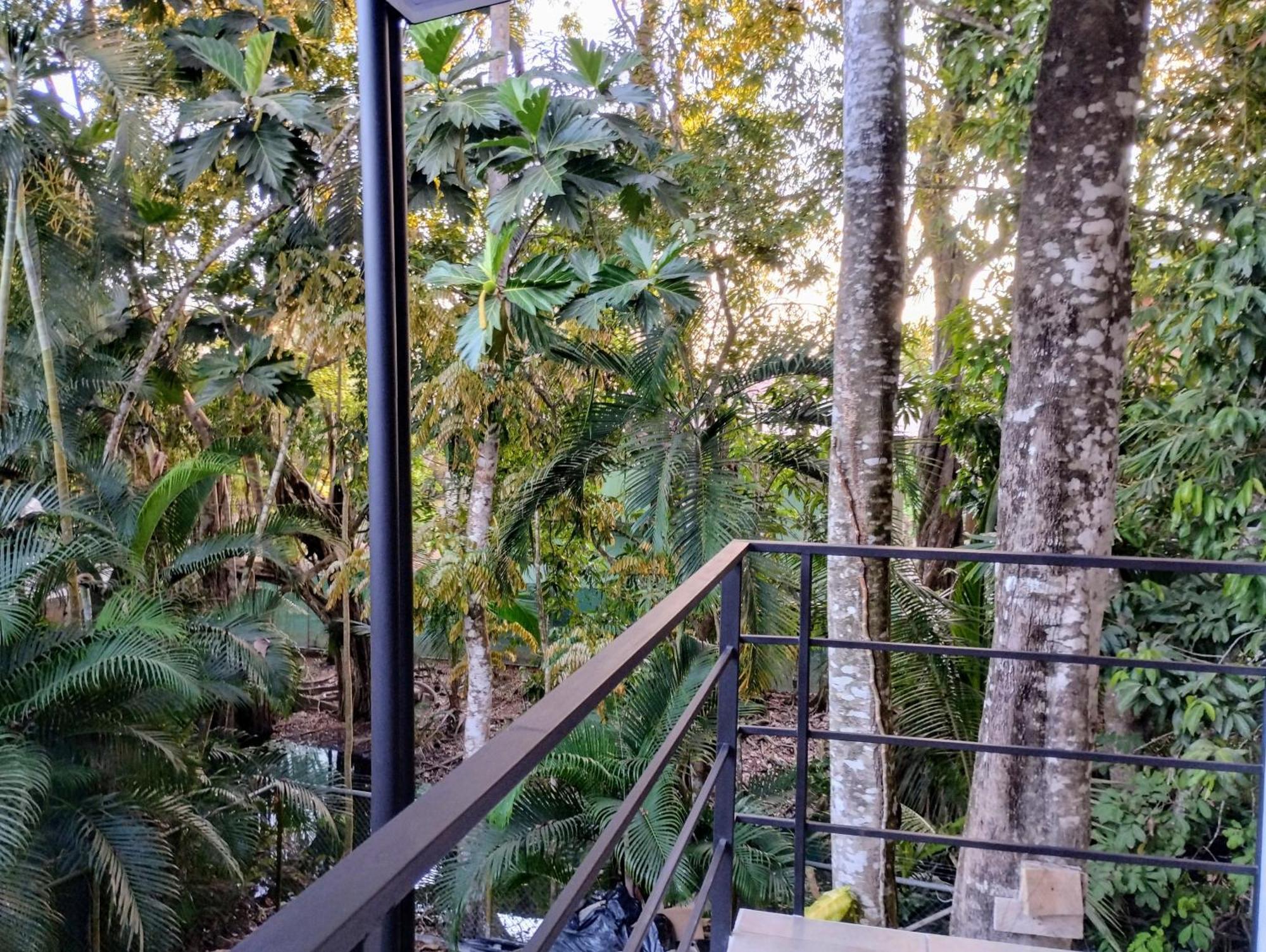 Casajungla Hostel 哈科 外观 照片