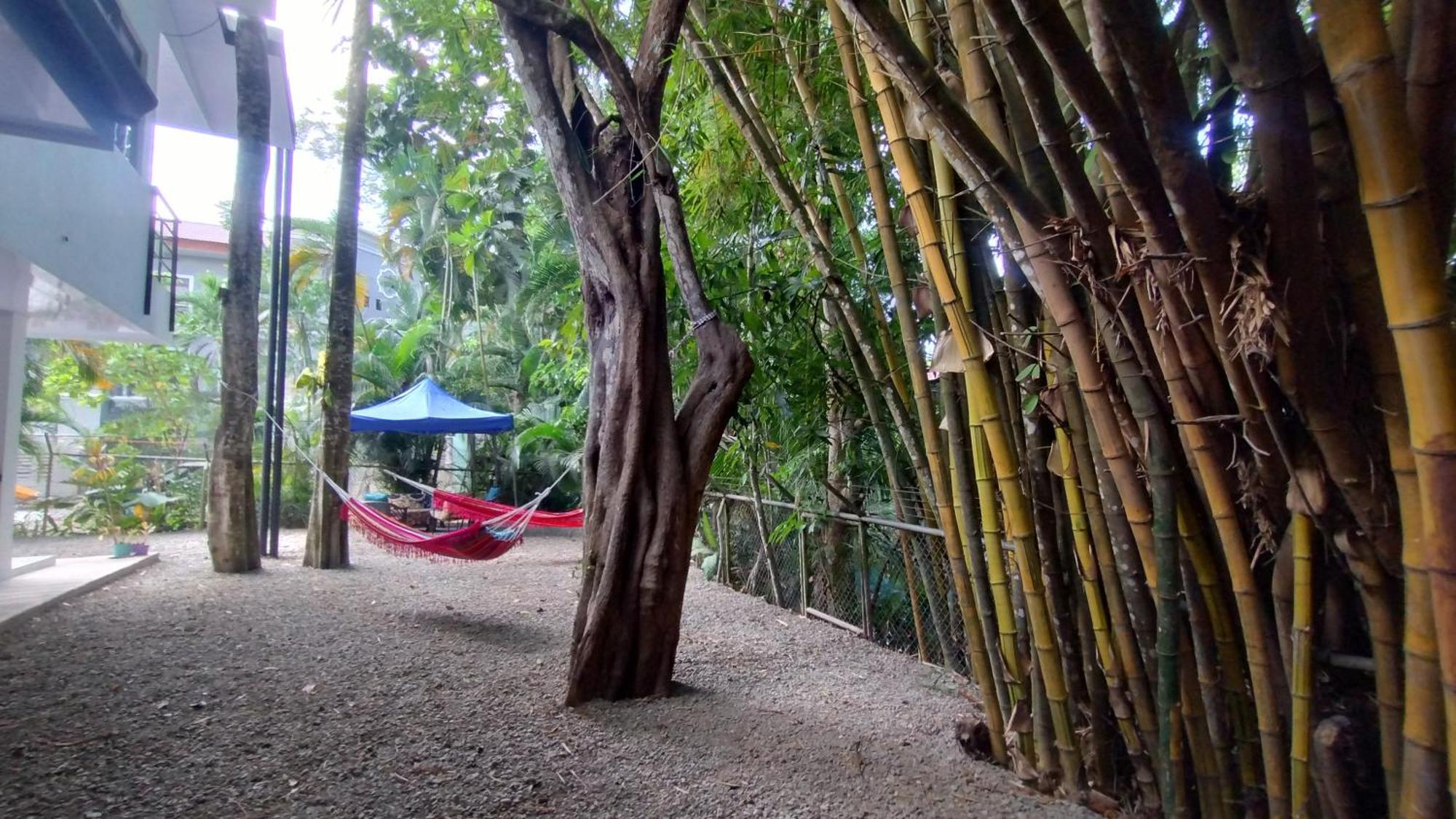 Casajungla Hostel 哈科 外观 照片